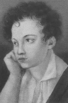 Александр Сергеевич Пушкин Император Николай I Граф Карл Васильевич - фото 10