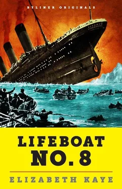 Elizabeth Kaye Lifeboat No. 8 обложка книги