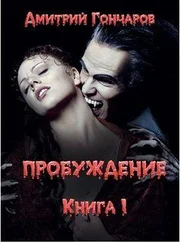 Дмитрий Гончаров - Пробуждение