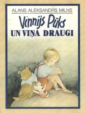 Alans Milns Vinnijs Pūks un viņa draugi обложка книги