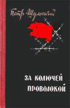 Петр Шумский За колючей проволокой обложка книги