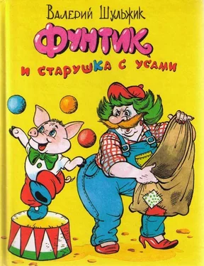 Валерий Шульжик Фунтик и старушка с усами обложка книги