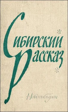 Анатолий Приставкин Из цикла «Сибирские новеллы» обложка книги