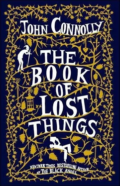 John Connolly The Book Of Lost Things обложка книги