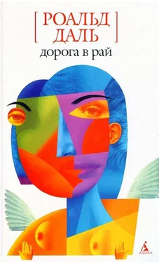 Роальд Даль Дорога в рай обложка книги