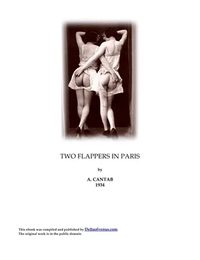 Chico Williams Two Flappers In Paris обложка книги