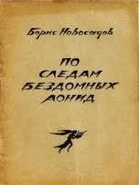 Борис Новосадов По следам бездомных Аонид : Вторая тетрадь стихов обложка книги