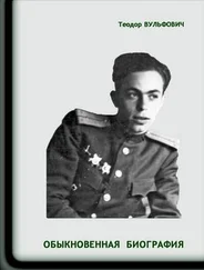 Теодор Вульфович - Обыкновенная биография