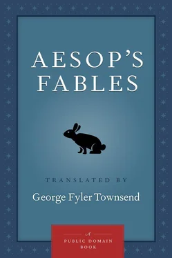 Translated Townsend Aesop's Fables обложка книги