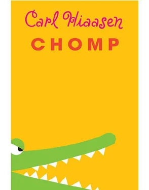 Carl Hiaasen Chomp обложка книги