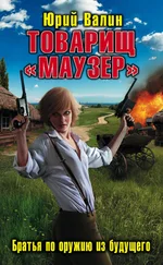 Юрий Валин - Товарищ «Маузер». Братья по оружию из будущего