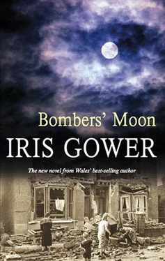Iris Gower Bombers’ Moon обложка книги