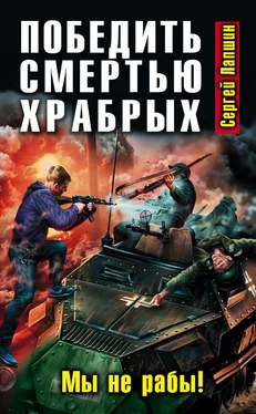 Сергей Лапшин Победить смертью храбрых. Мы не рабы! обложка книги