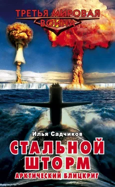 Илья Садчиков Стальной шторм. Арктический блицкриг обложка книги