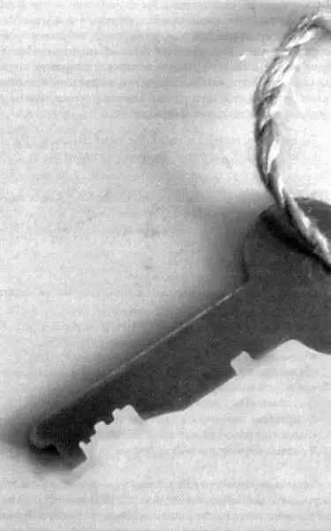 Когда я вернулся домой жилец стоял под фонарем Мы встречались там каждый - фото 82