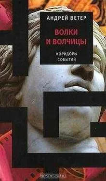 Андрей Ветер Волки и волчицы обложка книги