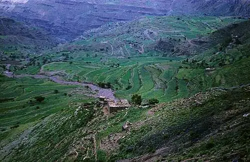 Террасы ката Впалые обвисшие щеки характерная черта йеменцев жующих кат - фото 9