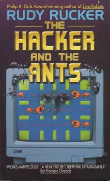 Rudy Rucker The hacker and the ants обложка книги