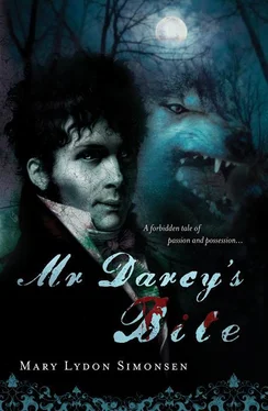 Mary Simonsen Mr. Darcy's Bite обложка книги