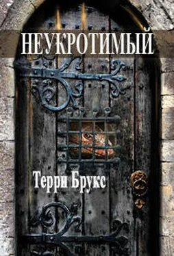 Терри Брукс Неукротимый обложка книги