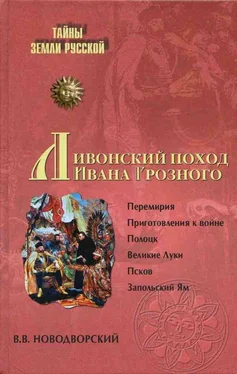 Витольд Новодворский Ливонский поход Ивана Грозного. 1570–1582 обложка книги