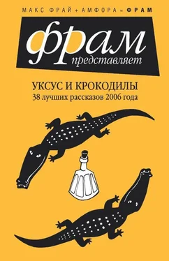 Ася Датнова Уксус и крокодилы обложка книги