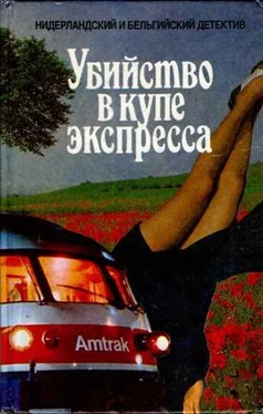 Альберт Баантьер НИДЕРЛАНДСКИЙ И БЕЛЬГИЙСКИЙ ДЕТЕКТИВ обложка книги