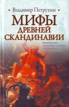 Владимир Петрухин Мифы древней Скандинавии обложка книги