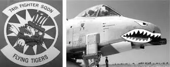 74th EFS patch and Flying Tiger nose art USAF Photo 40th Expeditionary - фото 33