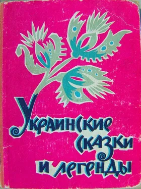 народ Array Украинские сказки и легенды обложка книги