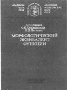 А И Струков О К Хмельницкий В П Петленко Морфологический эквивалент - фото 26
