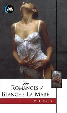 Anonymous The Romances Of Blanche La Mare