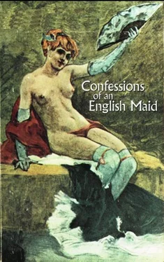 Gilbert Martin Confessions of an English Maid обложка книги