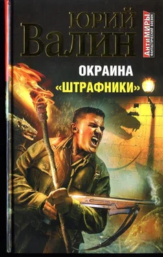 Юрий Валин Окраина. «Штрафники» обложка книги