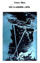 Степан Швец - Под крыльями — ночь