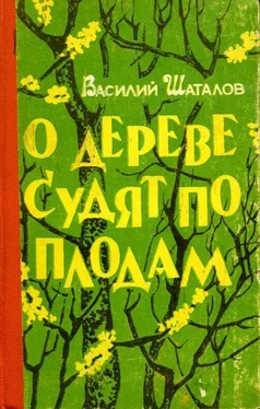 Василий Шаталов О дереве судят по плодам обложка книги
