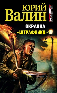 Юрий Валин Окраина. «Штрафники» (litres) обложка книги