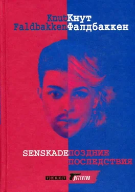 Кнут Фалдбаккен Поздние последствия обложка книги