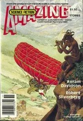 Robert Silverberg - Homefaring