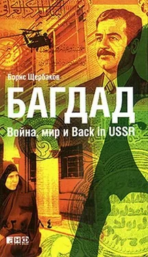 Борис Щербаков Багдад: Война, мир и Back in USSR обложка книги