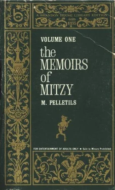 M. Pelletils The Memoirs of Mitzy, Volume 1 обложка книги