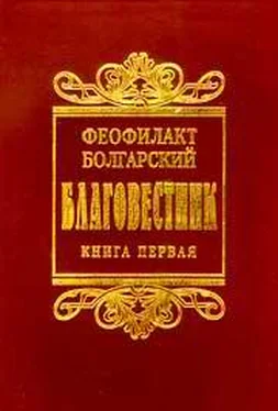 Феофилакт Болгарский Толкование на книги Нового Завета обложка книги