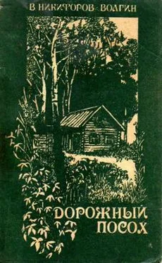 Василий Никифоров–Волгин Рассказы обложка книги