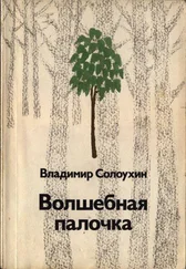 Владимир Солоухин - Волшебная палочка