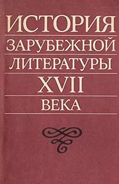 Захарий Плавскин История зарубежной литературы XVII века обложка книги