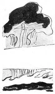 Ray Bradbury The Fox and the Forest To the Future The Fox in the - фото 4