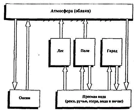 Рис 24 Круговорот воды в биосфере Различные фракции воды гидросферы - фото 43