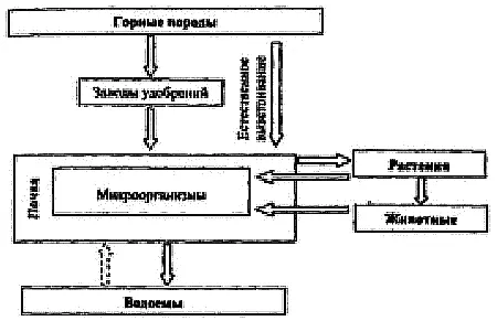 Рис 27 Круговорот фосфора в биосфере Фосфор содержится в горных породах - фото 47