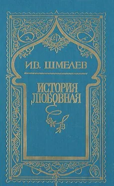 Иван Шмелев История любовная обложка книги