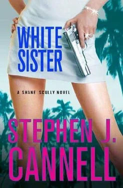 Stephen Cannell White sister обложка книги